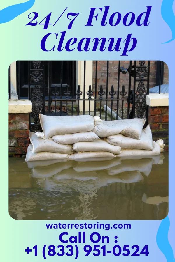 24/7 Flood Cleanup in Claxton, GA