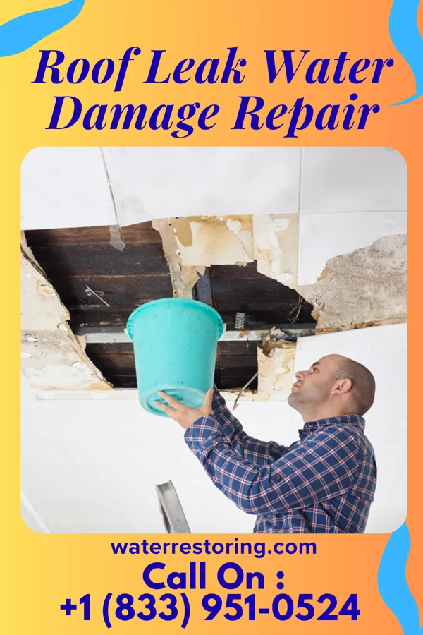 Roof Leak Water Damage Repair in Claxton, GA